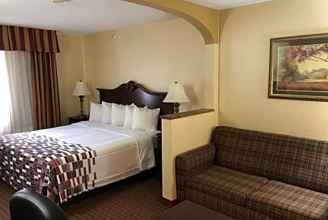 Ada Accessible Superior King With Roll-In Shower Non-Smoking