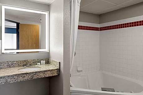 Premier King Suite - Non-Smoking