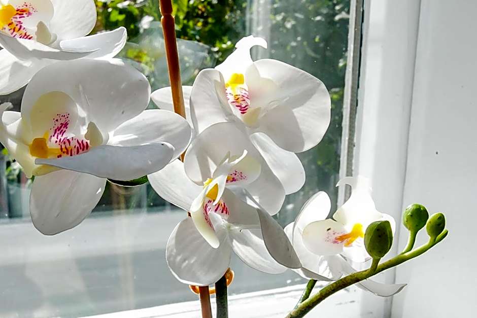 Zagreb City Vibe Apartments & Rooms