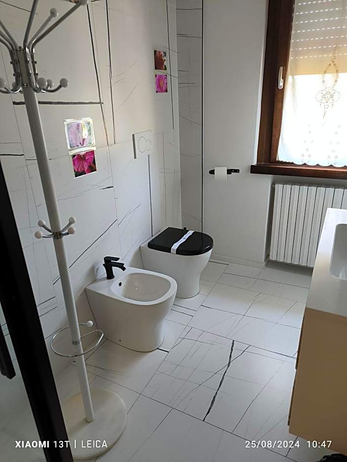 Le piante di casa SaMar