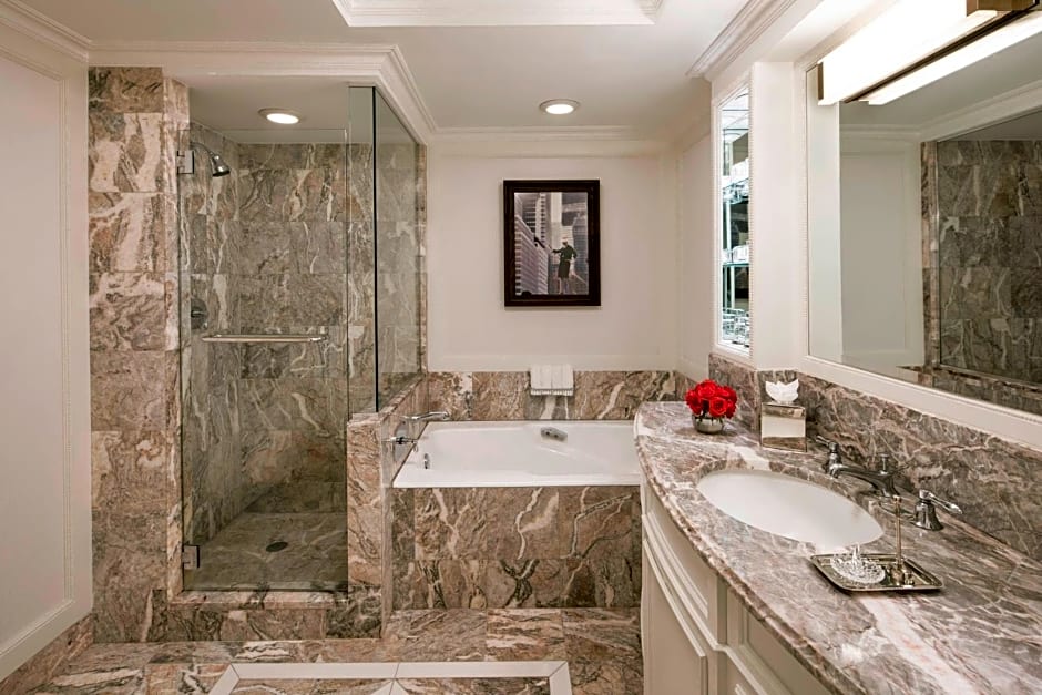 The Ritz-Carlton New York, Central Park