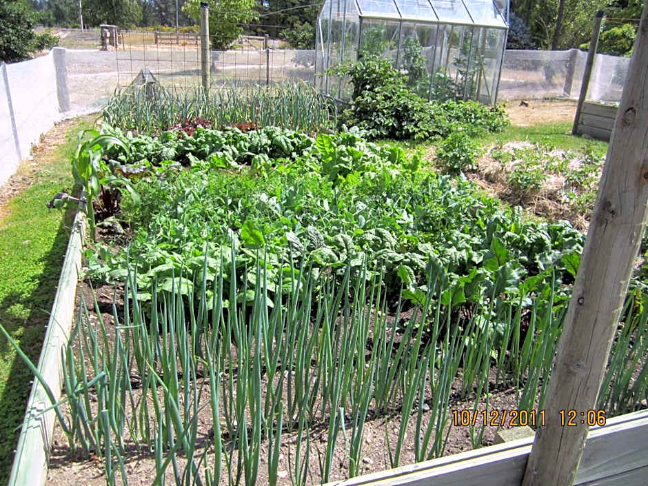 Hawkdun Rise Vineyard & Accommodation