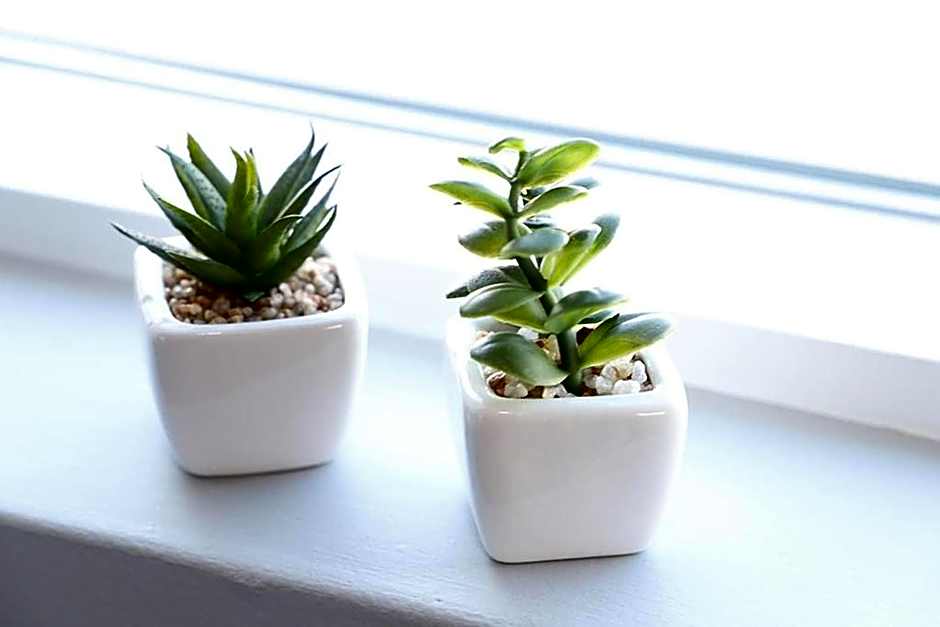 North Apartments Suites