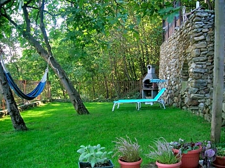 B&B Al Carotin