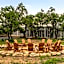 The Cedars Ranch