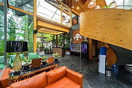 Kasauli Hills Resorts