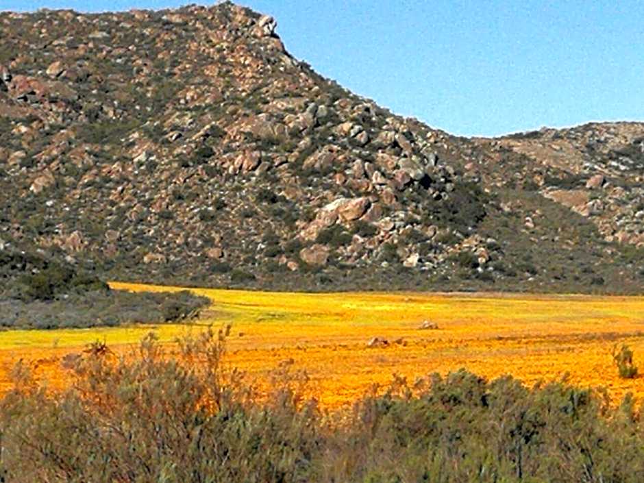 Oppi Berg Selfsorg Akkommodasie
