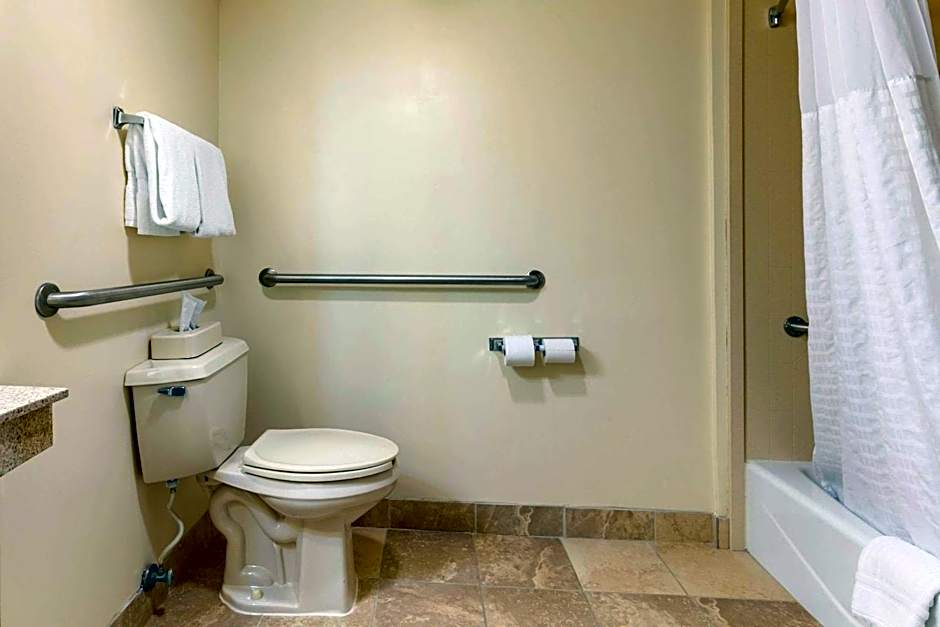 Comfort Inn Downtown Lookout Mountain Chattanooga