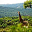 Tomjachu Bush Retreat