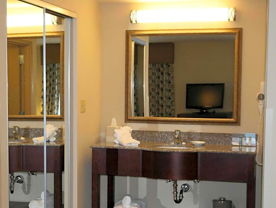 Hampton Inn By Hilton And Suites Savannah-Airport