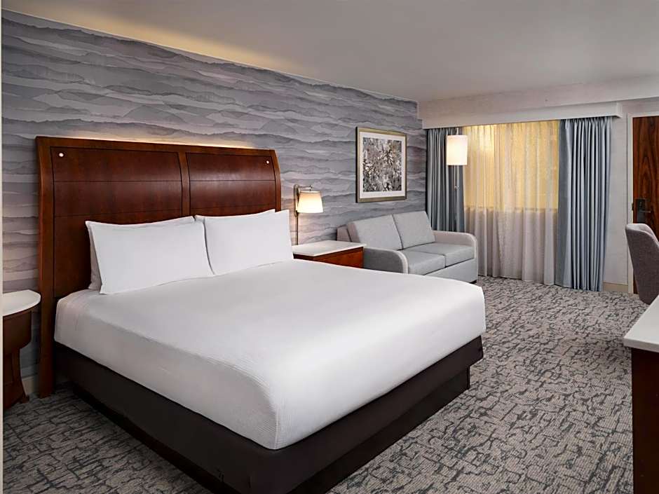 Hilton Washington DC Rockville Executive Meeting Center