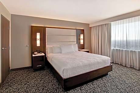 1 King Bed 2 Room Suite