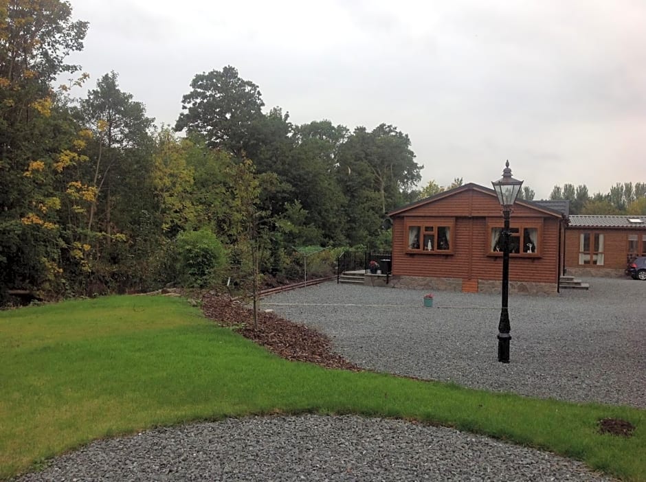 Grandeagles Extra large lodge