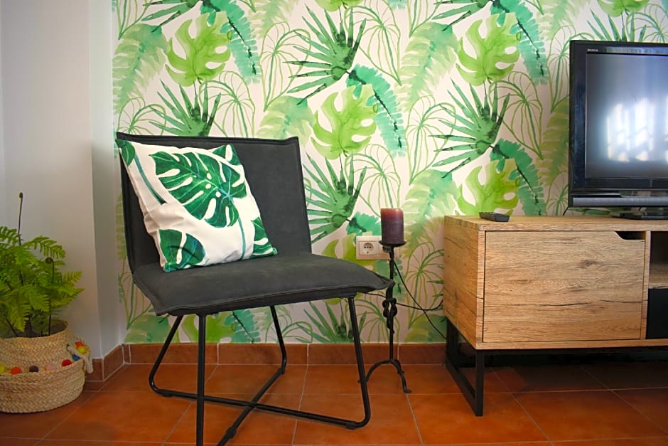 OLIVO 15E - Terraza y vistas