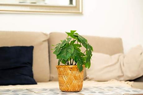 Elégant studio stade de France 12 pour 4 personnes