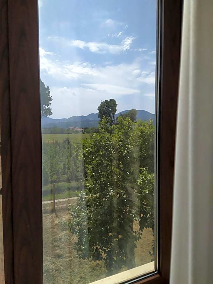 Agriturismo Il Casale del Cavaliere