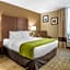 Comfort Inn Edison