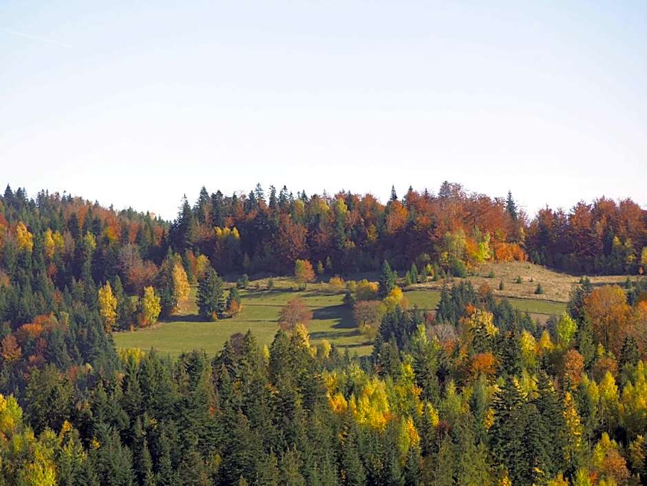 Apartamenty przy Hotelu Żywieckim