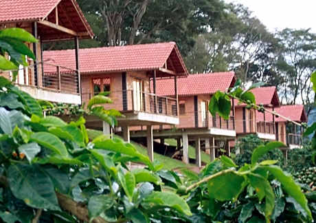 Pousada Café da Mata