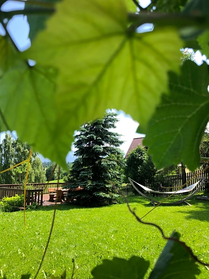 Siumno Izba B&B Brzegi