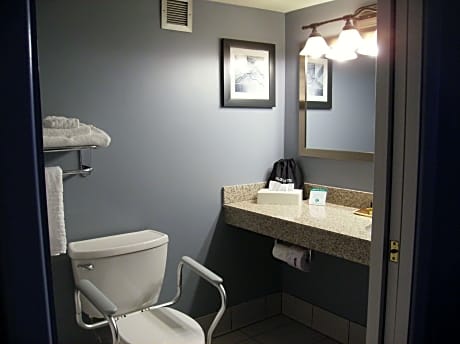 Accessible - 1 Queen  Mobility Accessible Communication Assistance Roll In Shower Non-Smoking Full B