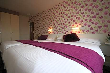 Family Room (2 Adults + 1 Child)