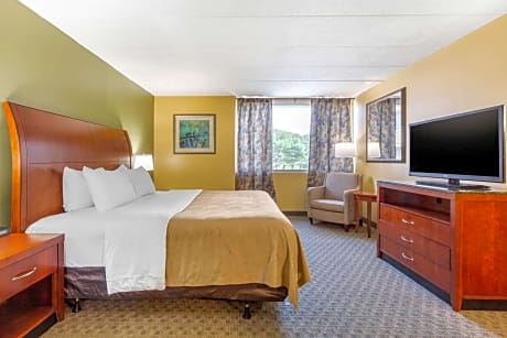 1 King Bed, Suite, Nonsmoking, Upgrade