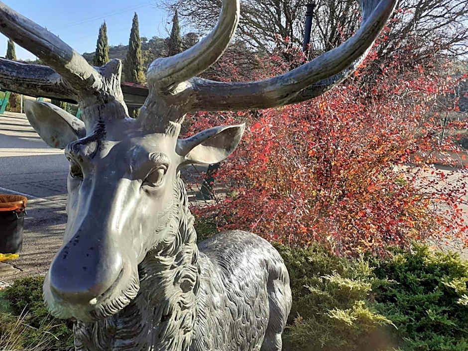 Hotel Milagros Rio Riaza