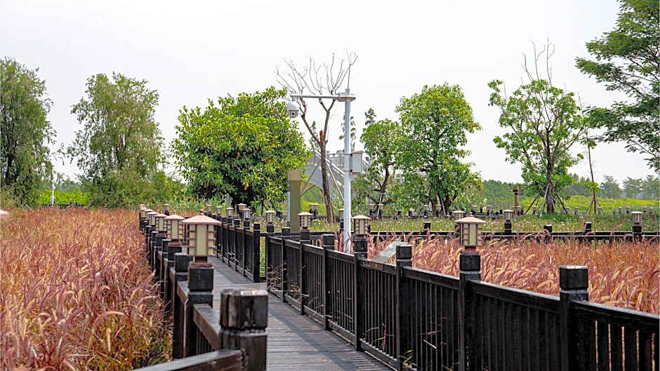 EVEN Hotel Zhongshan City Center By IHG