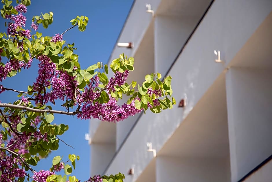 Casa Del Mar Hotel & Apartaments