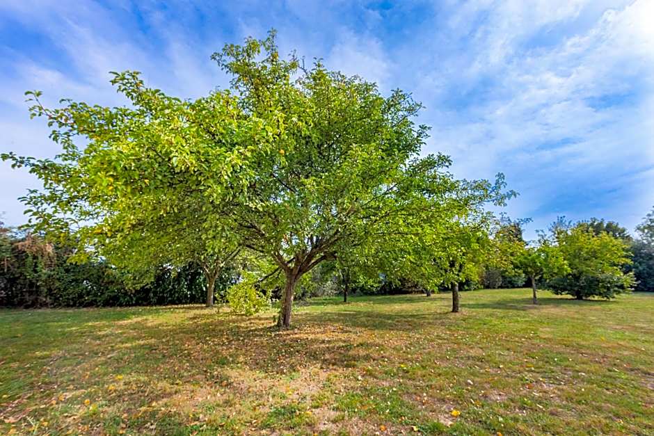 B&B HOTEL Angers Parc Expos