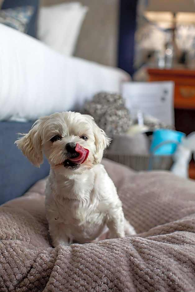 Penventon Park Hotel