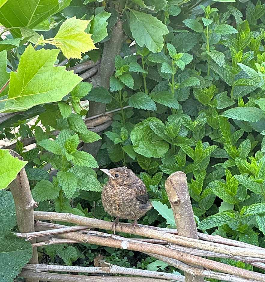 Bed & Breakfast Yerseke