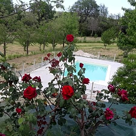 Il Rifugio dell'Ape Agriturismo