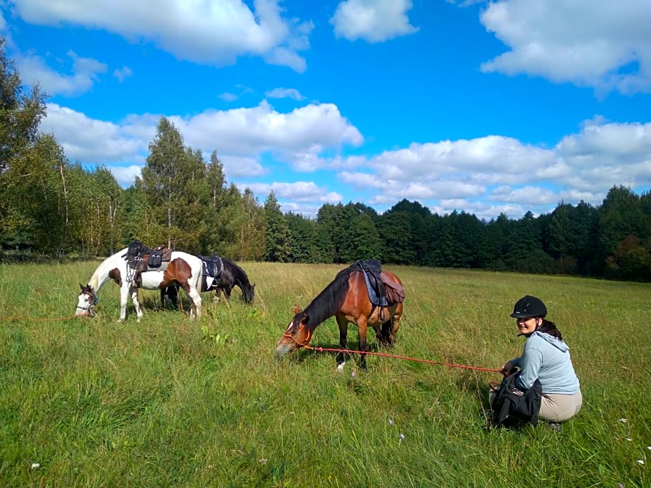 Stajnia Rajdowa Geronimo