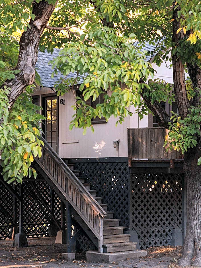 Johnson's Beach Cabins and Campground