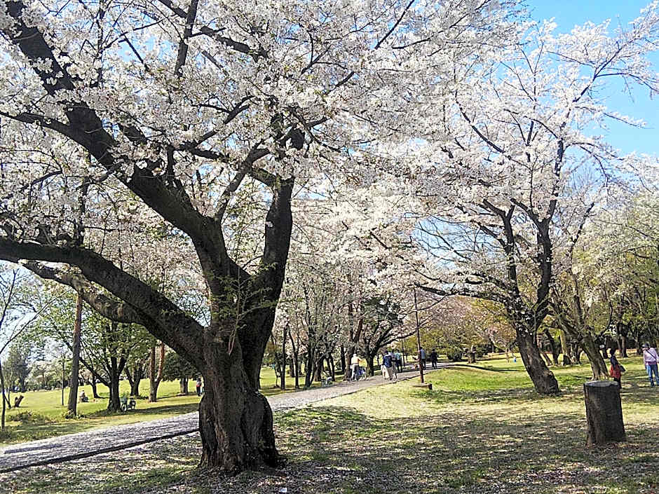 Toyoko Inn Wako-Shi Ekimae
