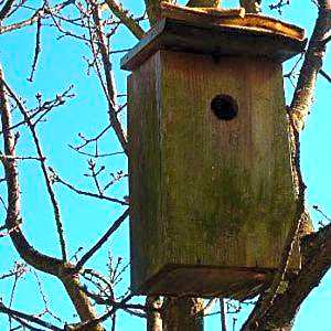 Quinta das Mineirinhas