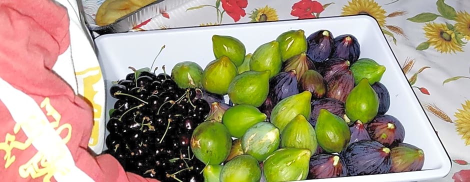 Donatella Bed and Breakfast