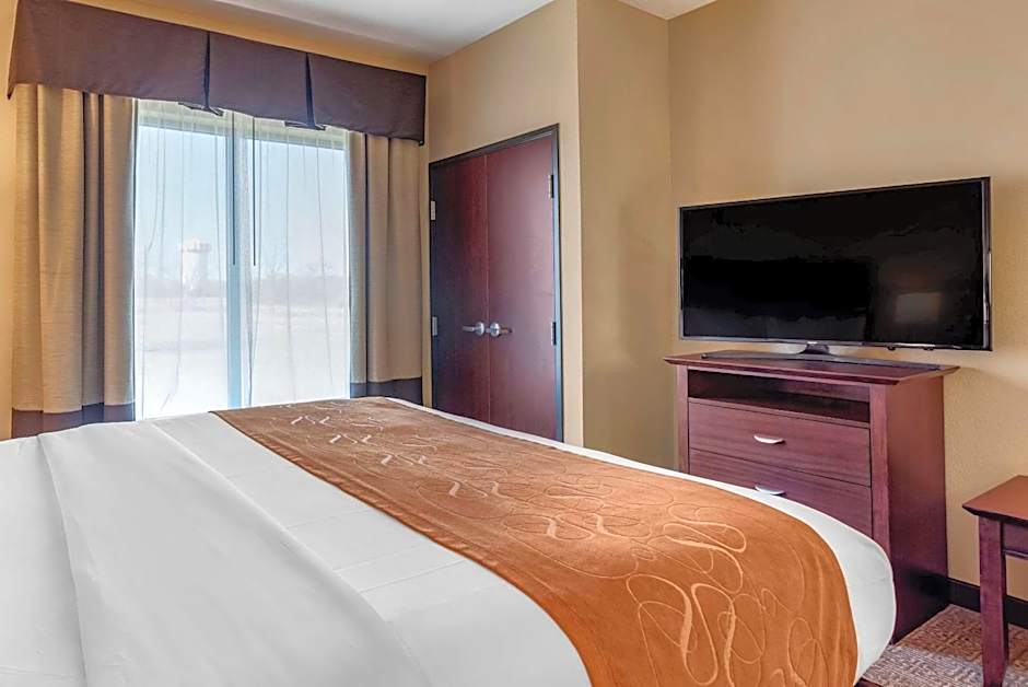 Comfort Suites Airport South