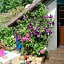 Chambre d'Hôtes "Orchidees"