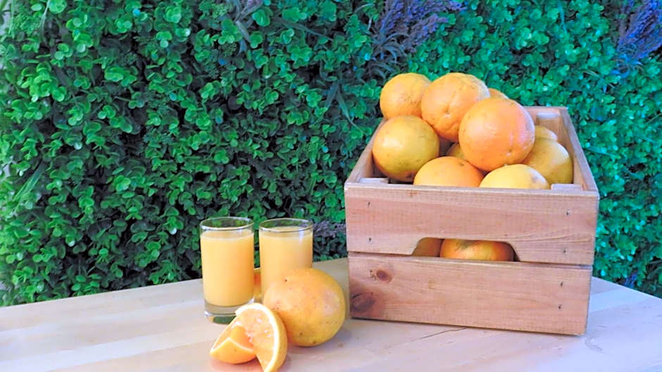 Legendary Porto Hotel