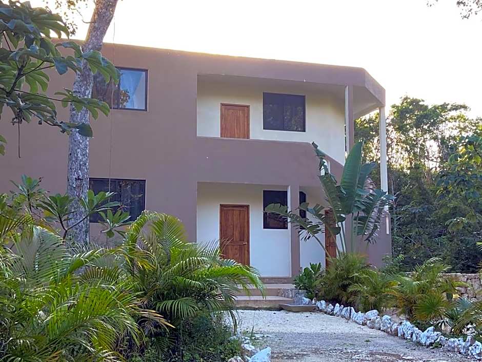 Santuario Jungle