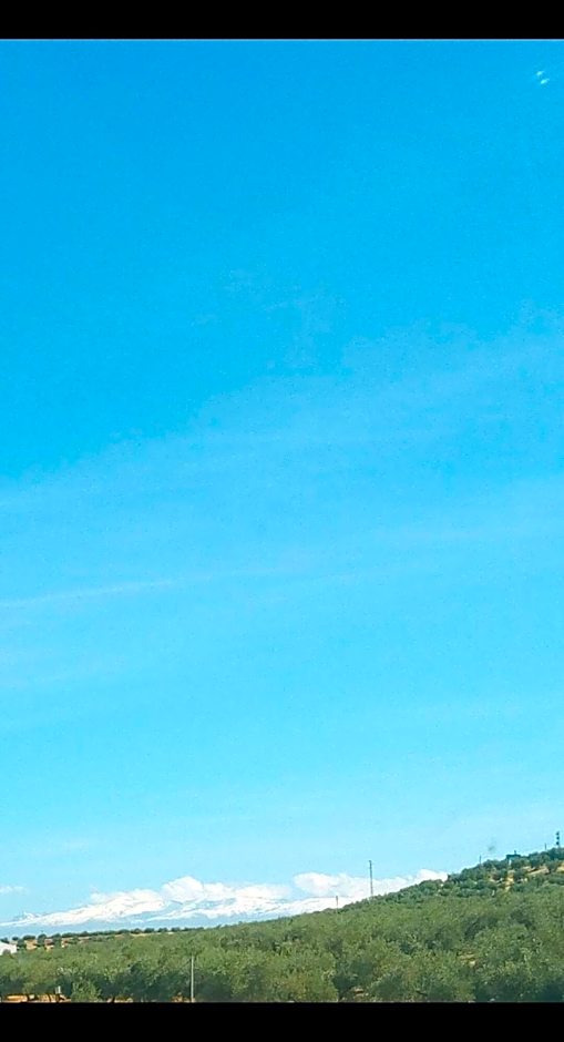 Albenzaire Hotel Asador