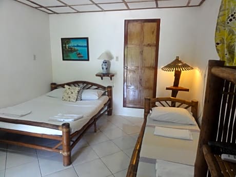 Sea Turtle Watch Nature Room