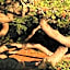 Hotel Verde Pinho Bed&Breakfast