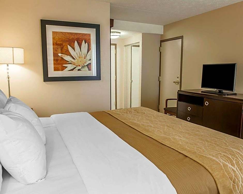 Comfort Inn Bloomington near University