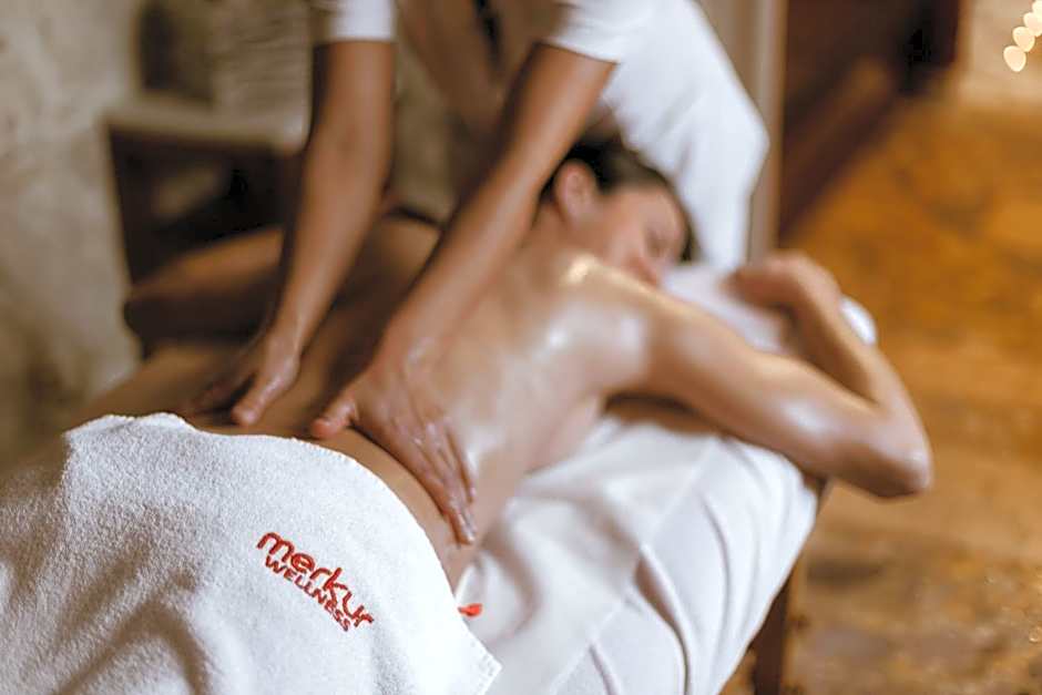 Medical and Spa Centre Merkur