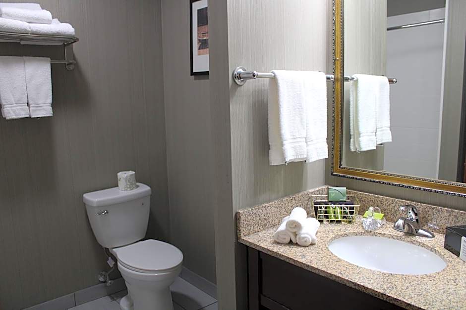 The Black Swan Inn, Ascend Hotel Collection