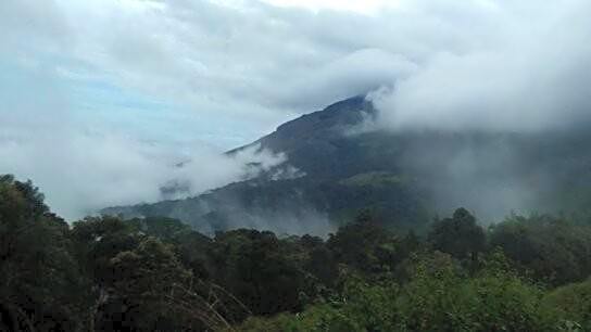 Neelakurunji Plantation Munnar